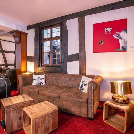 Hotel Saxenhof 4*