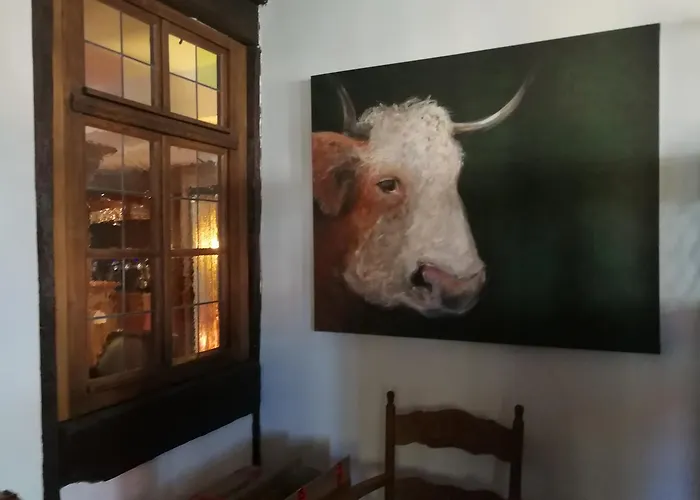 Saxenhof 4* Dermbach